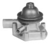 SUBAR 410767300 Water Pump
